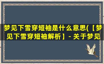 梦见下雪穿短袖是什么意思(【梦见下雪穿短袖解析】- 关于梦见下雪穿短袖的含义)